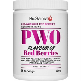 BioSalma PWO Red Berries 500 g