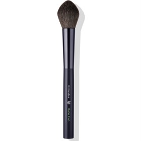 Dr Hauschka Blush Brush