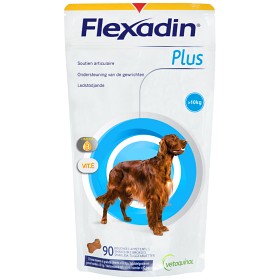 Flexadin Plus Maxi 90 tyggetabletter