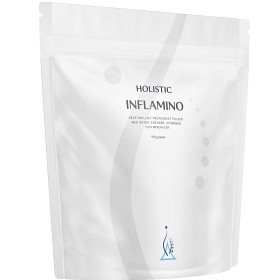 Holistic Inflamino 910 g