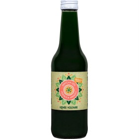 Renée Voltaire Matcha Iste Fersken & Mango 330 ml
