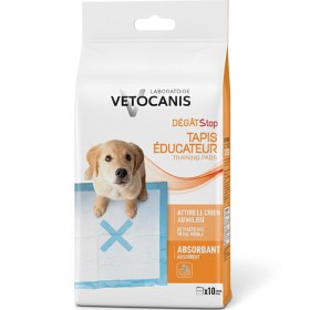 Vetocanis Valp Treningspute 58x43 cm 10 st-image