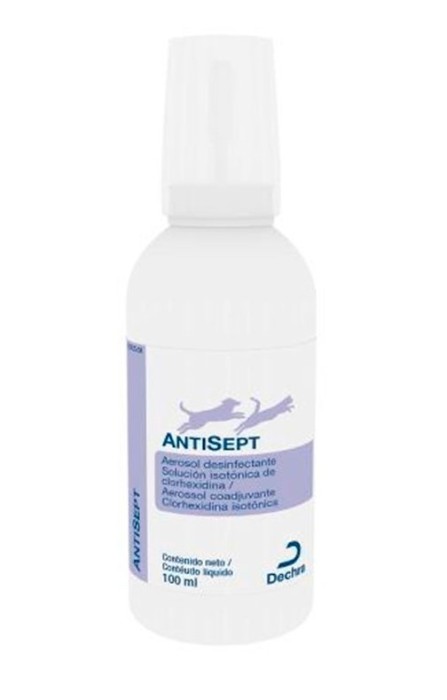 Dechra AntiSept 100 ml